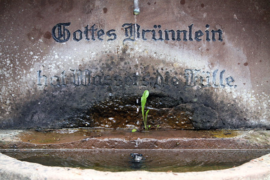 028 Gottes Bruennlein
