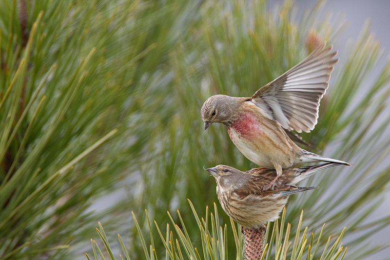 01. Platz - Matthias Wilharm
