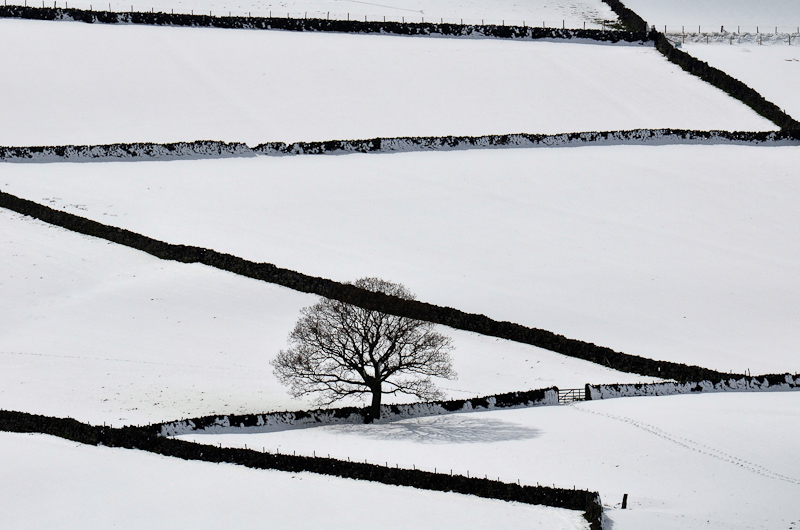 06. Platz - Reiner Enkelmann