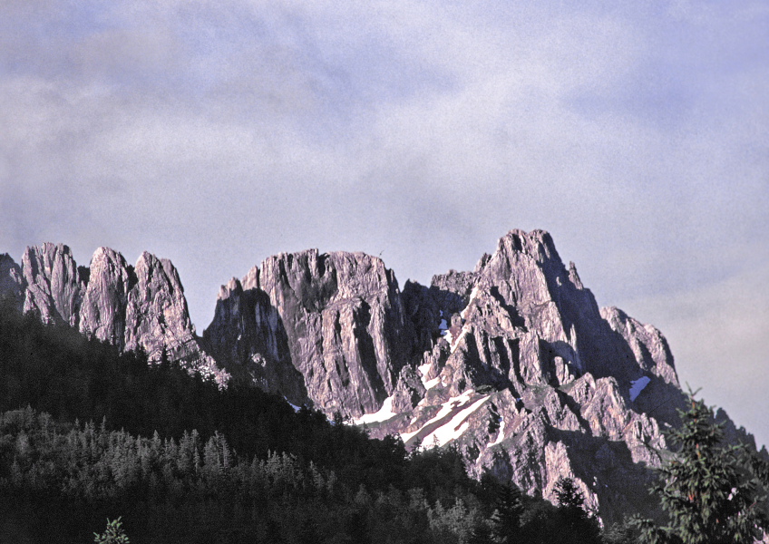 261 Am wilden Kaiser