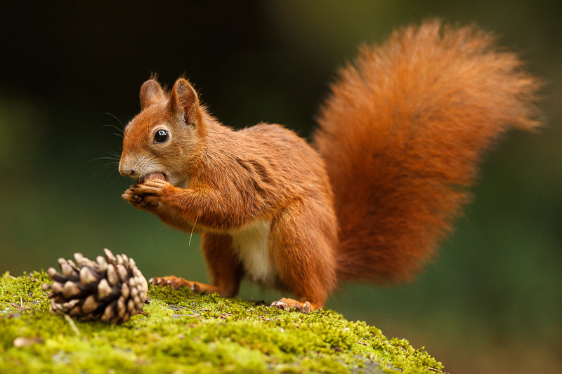 02. Platz - Ralph Stiller