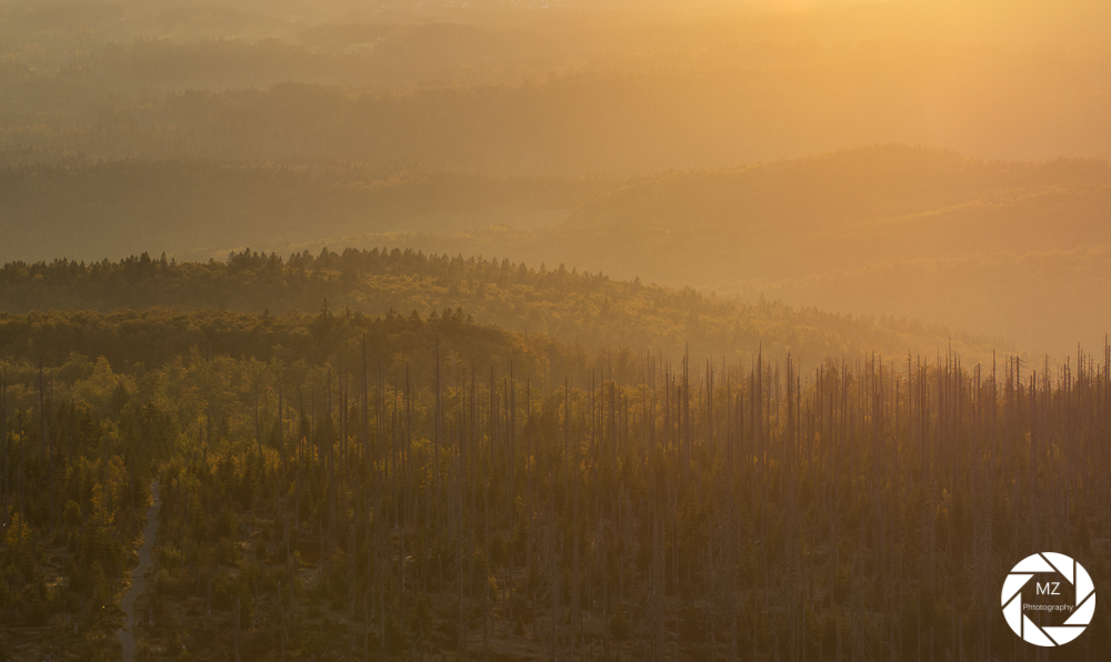 Sonnenuntergang vom Lusen