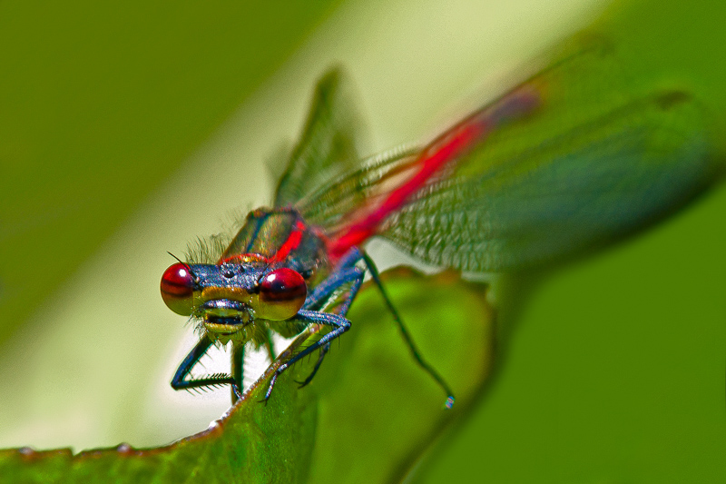 04. Platz - Udo Preussler