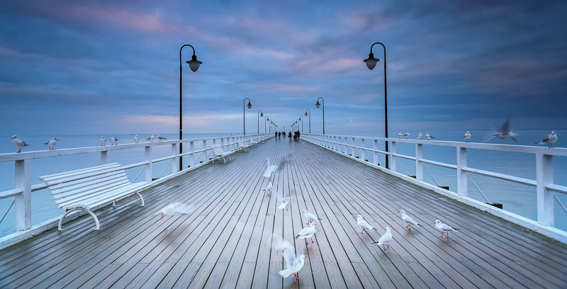 02. Platz - Andre Koschinowski