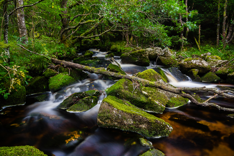 1. Platz - Maik Zinnaecker