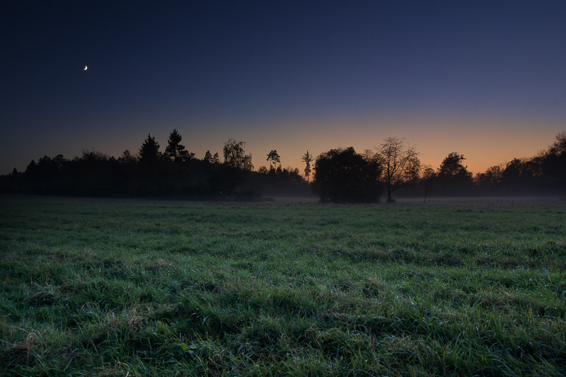 2. Platz - Maik Zinnaecker