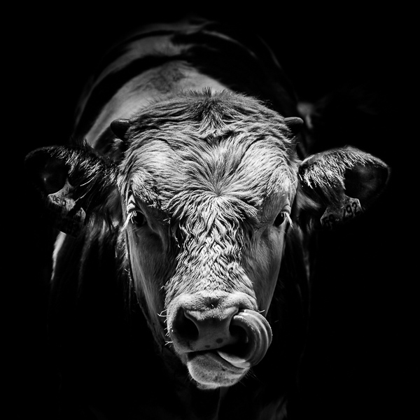 08. Platz - Tetana Nadj