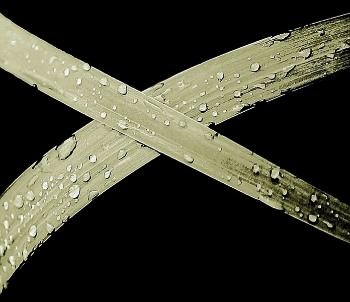 15. Platz - Joerg Ruehle