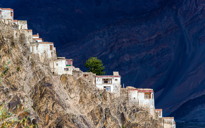 4. Platz - Darko Boehringer