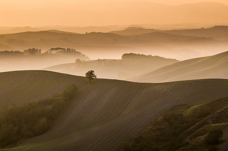 1. Platz - Udo Preussler