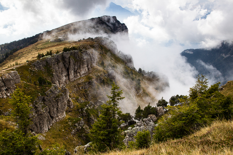 7. Platz - Matthias Wilharm
