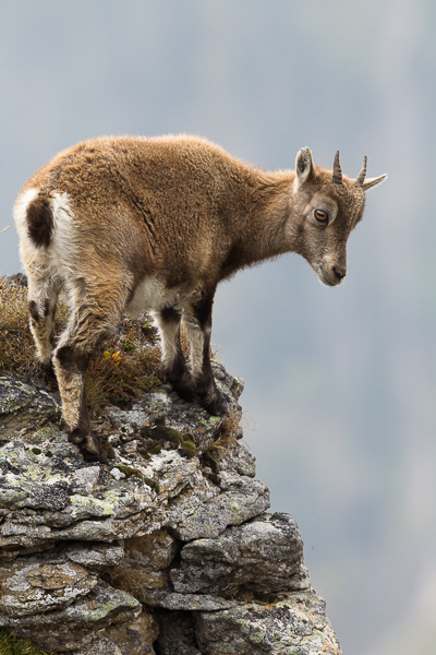 8. Platz - Matthias Wilharm