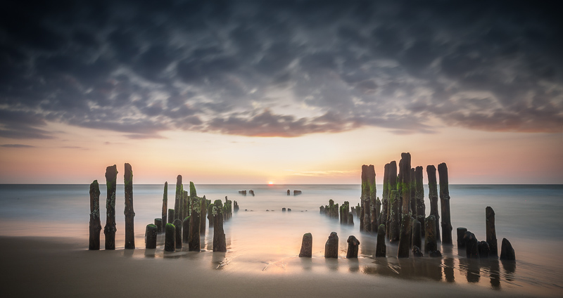 2. Platz - Andre Koschinowski