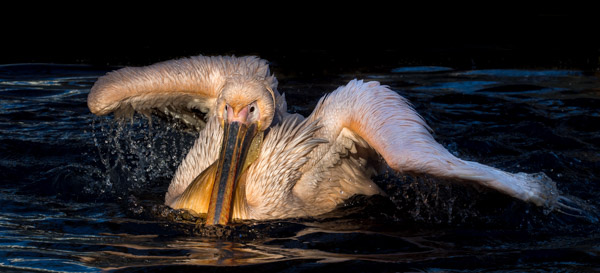 9. Platz - Charlene Smith