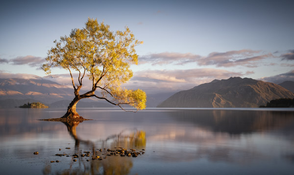 1. Platz - Andre Koschinowski