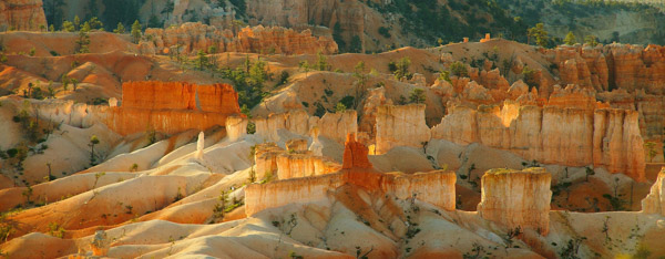 5. Platz - Dieter Ehmann
