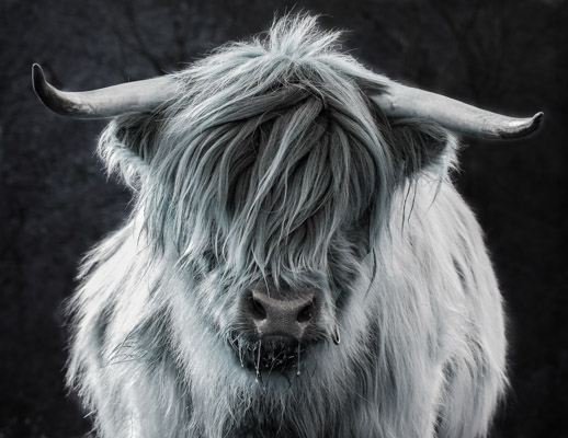 6. Platz - Charlene Smith