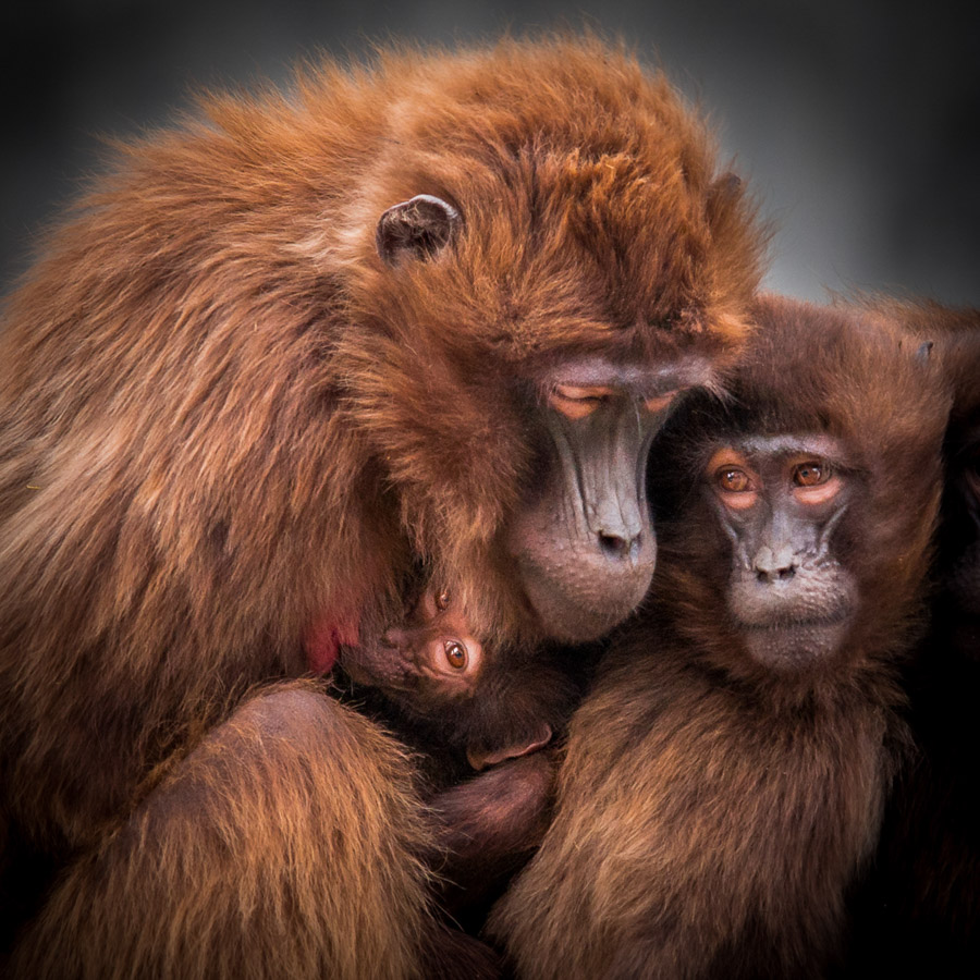 4. Platz - Charlene Smith