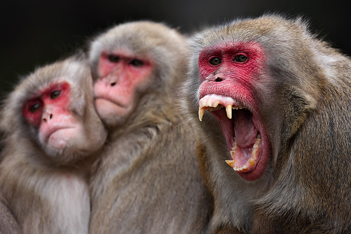 1. Platz - Harald L�ffler