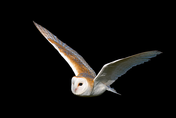 4. Platz - Harald L�ffler