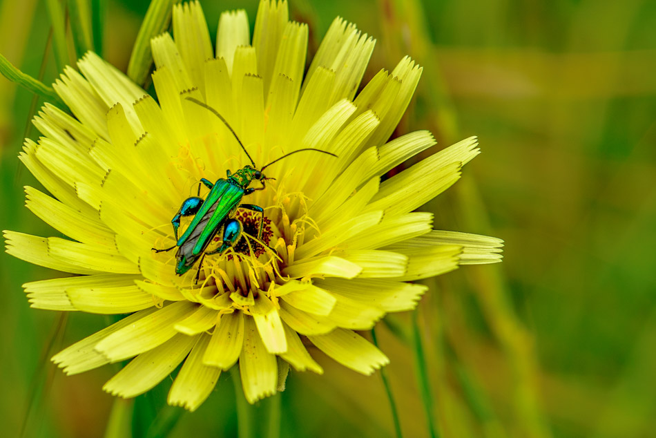 6. Platz - Udo Preussler