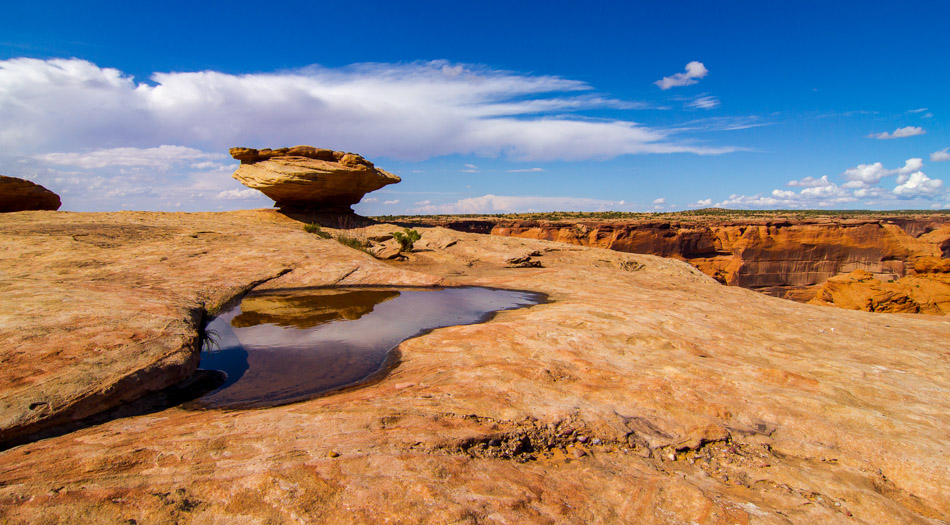 3. Platz - Diana Kosaric