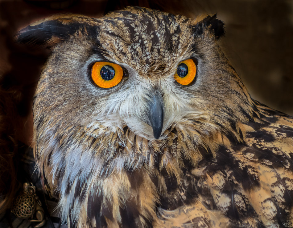 6. Platz - Heike Ziegler