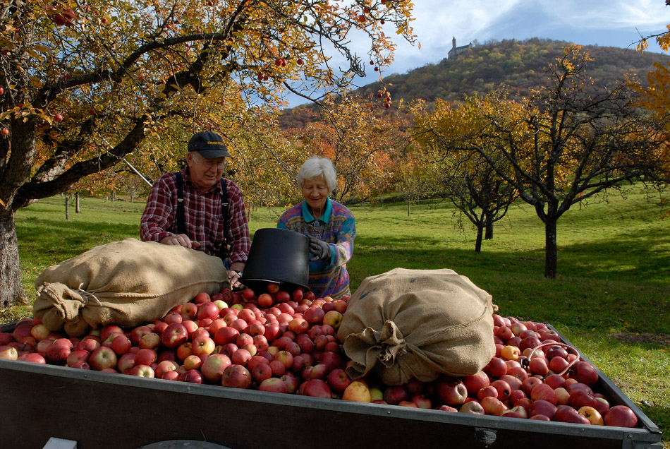 8. Platz - Reiner Enkelmann