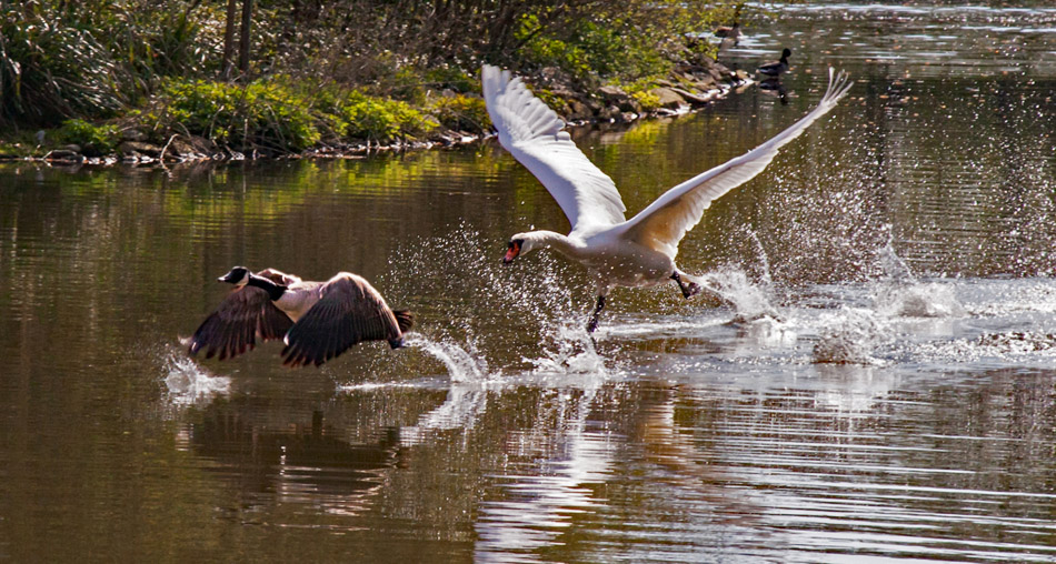03. Platz - Hans-Dieter Roth