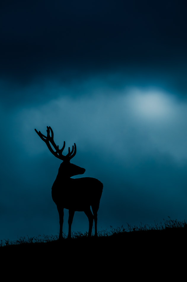 2. Platz - Sebastian Grieb