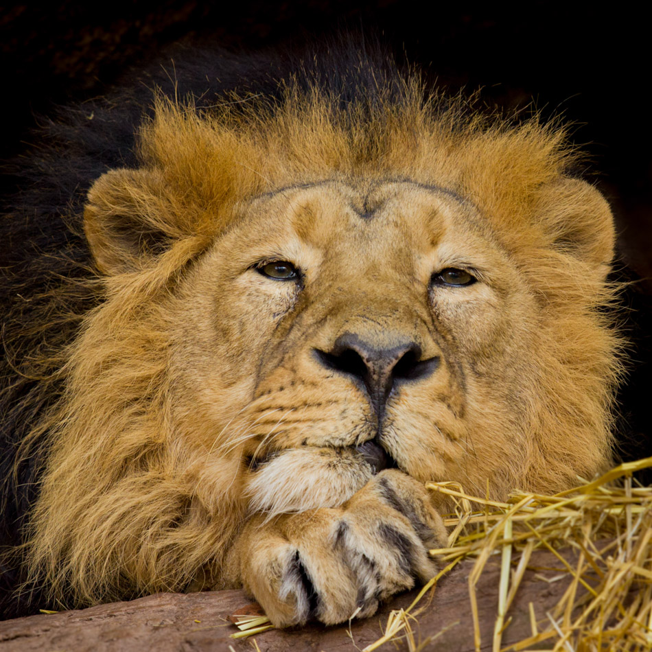 9. Platz - Philipp Roesch