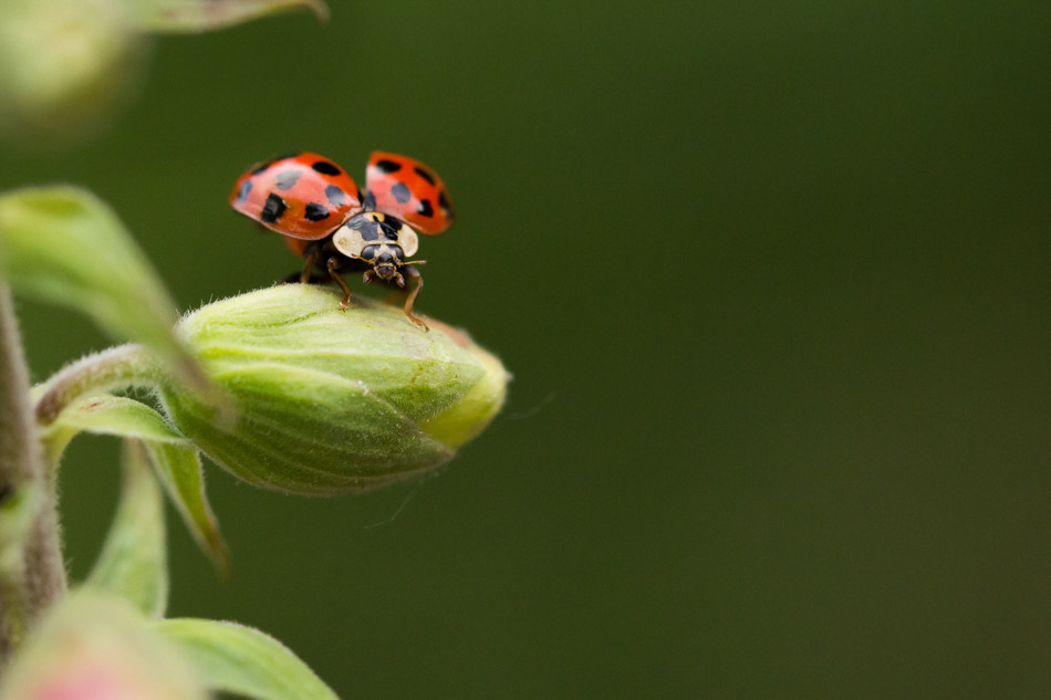 6. Platz - Maik Zinnaecker