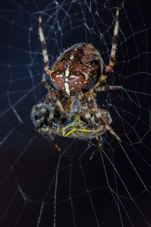 4. Platz - Philipp Roesch