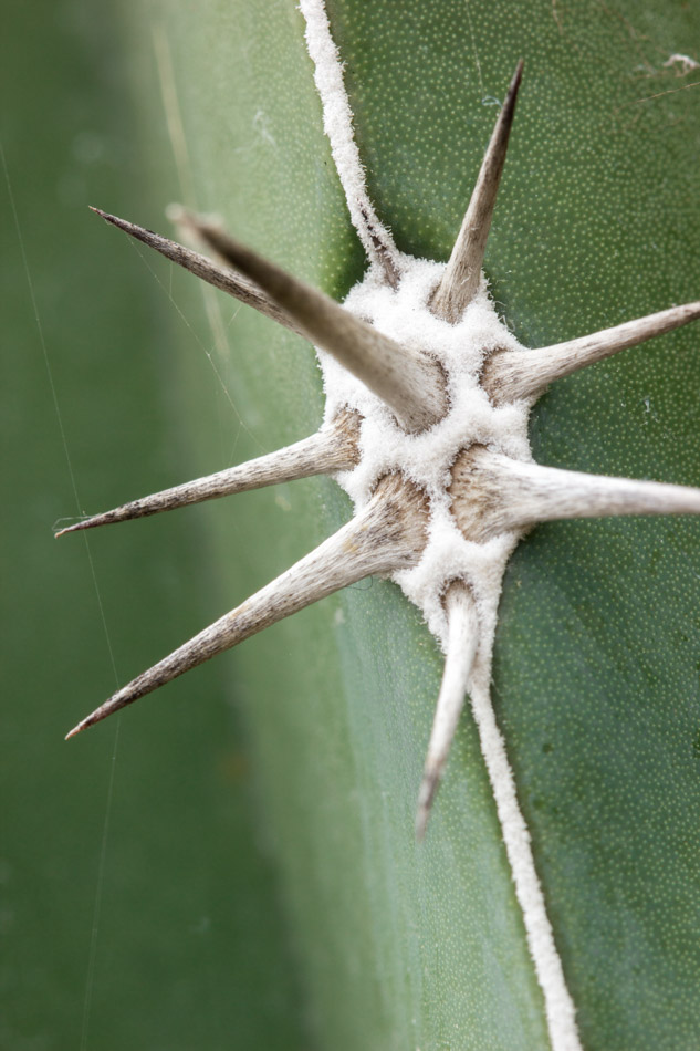 5. Platz - Philipp Roesch