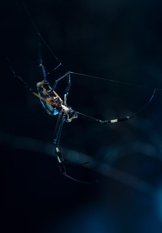 1. Platz - Benedikt Schuhmacher