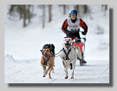 1. Platz - Harald L�ffler