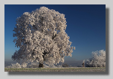 4. Platz -  Darko B�hringer