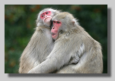 4. Platz - Rolf R�sken