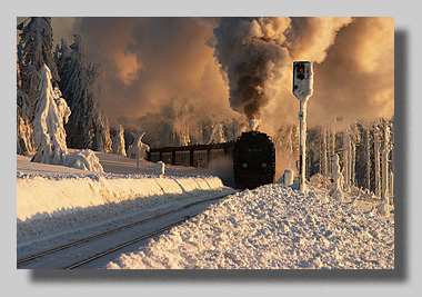 1. Platz - Diana Kosaric