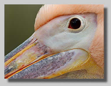 3. Platz - Harald L�ffler