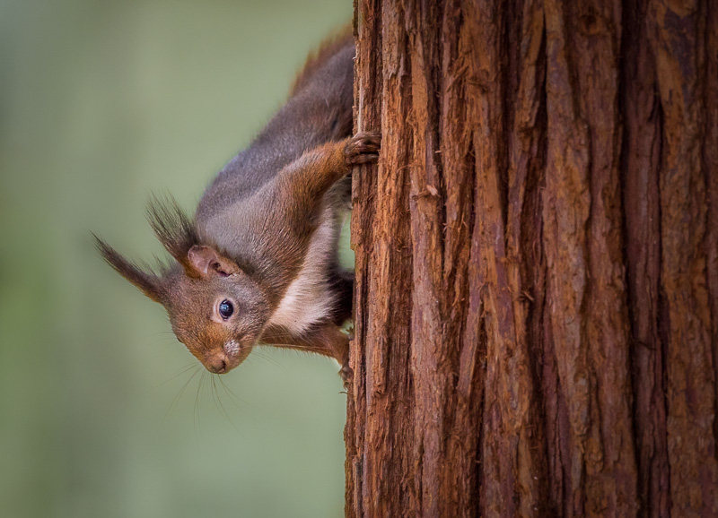 05. Platz - Charlene Smith