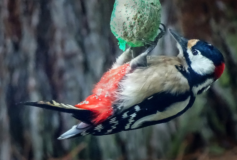 07. Platz - Hans-Dieter Roth