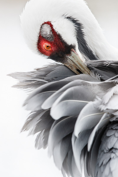 03. Platz - Ralph Stiller