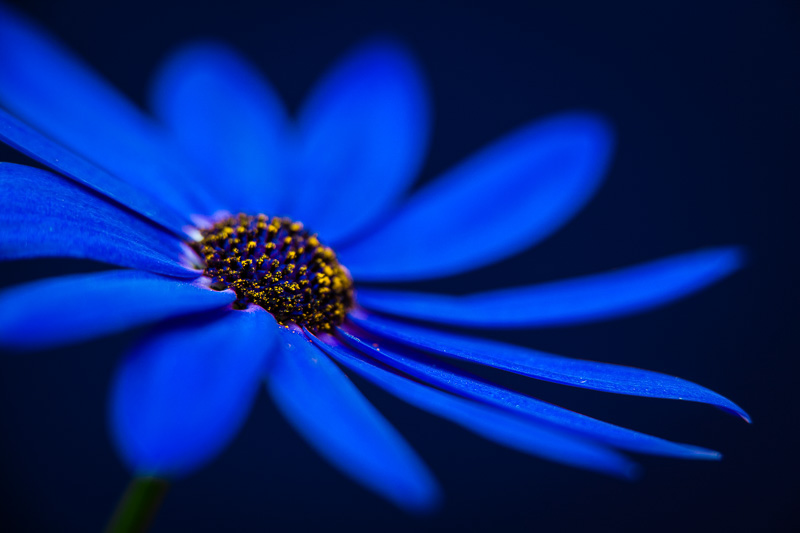 09. Platz - Ralph Stiller