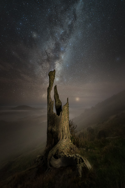 01. Platz - Andre Koschinowski