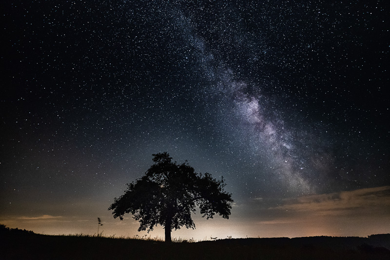 02. Platz - Monike Egerer