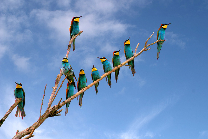 08. Platz - Rolf Roesken