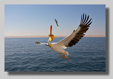 1. Platz - Harald L�ffler