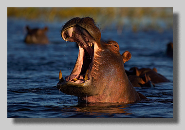 3. Platz - Harald L�ffler