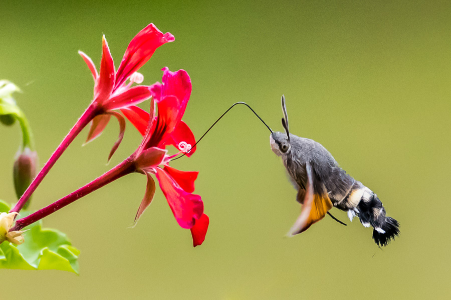 08. Platz - Udo Dreesmann